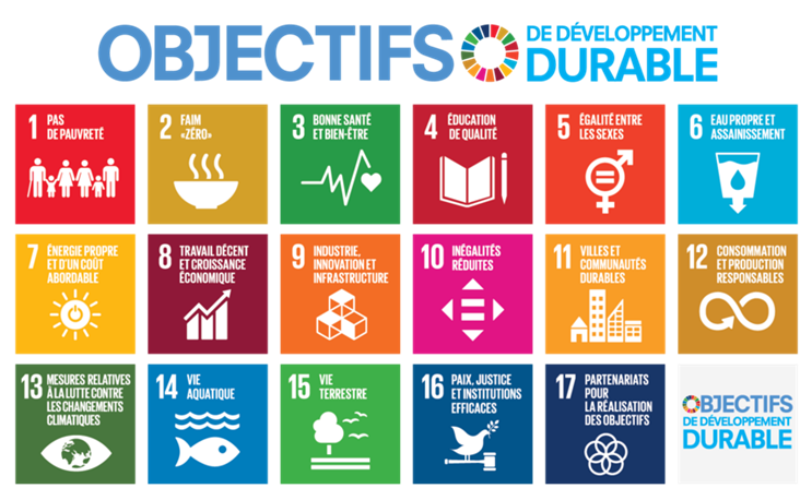 infographie objectifs developpement durable